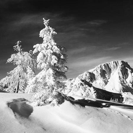 Almhaus Nassfeld Διαμέρισμα Sonnenalpe Nassfeld Εξωτερικό φωτογραφία