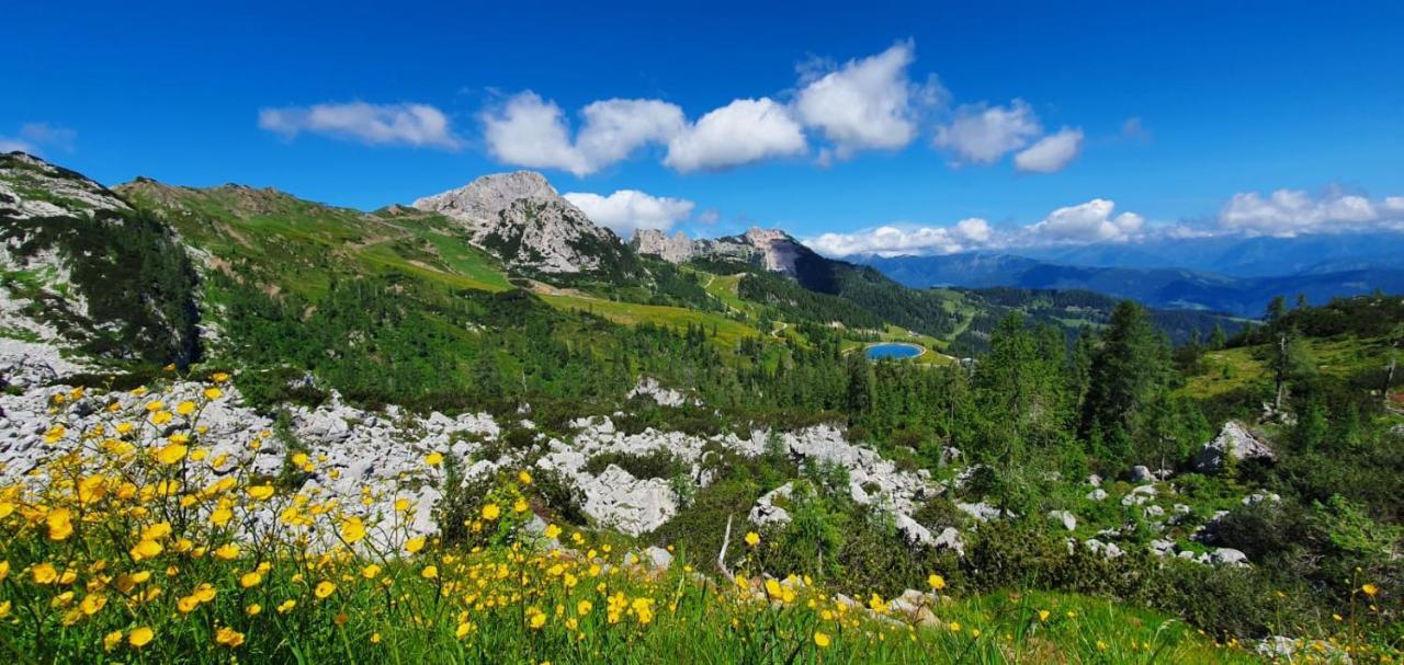 Almhaus Nassfeld Διαμέρισμα Sonnenalpe Nassfeld Εξωτερικό φωτογραφία