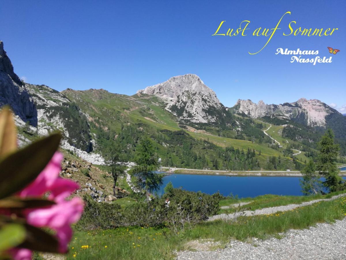 Almhaus Nassfeld Διαμέρισμα Sonnenalpe Nassfeld Εξωτερικό φωτογραφία