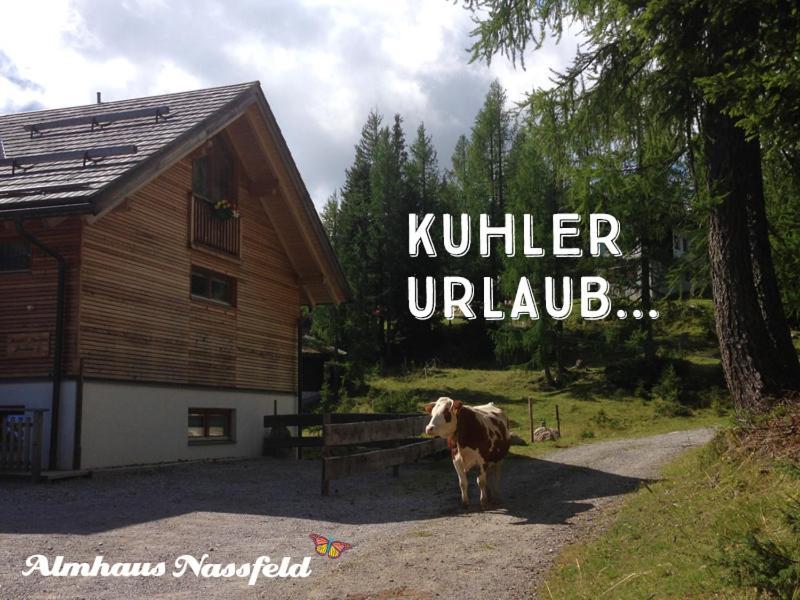 Almhaus Nassfeld Διαμέρισμα Sonnenalpe Nassfeld Εξωτερικό φωτογραφία